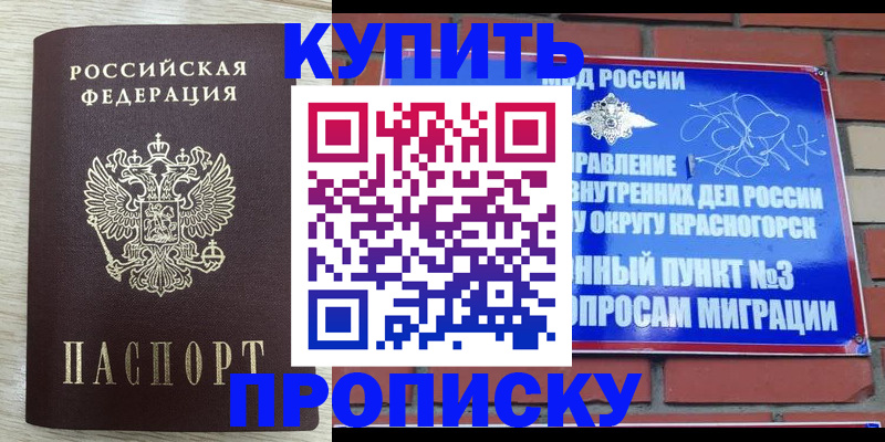 прописка гарантия в Кизеле